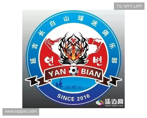 西安足球队引领最新足球意识榜单前十名精彩表现解析 西安足球队引领最新足球意识榜单前十名精彩表现解析