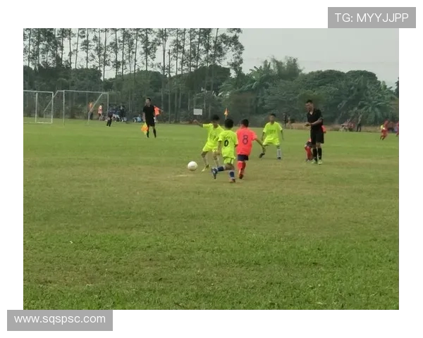 广州足球队在精英赛中的比赛经验与表现分析